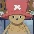 Quel est le mtier de tony tony chopper avant de rencontrer l'quipage de luffy