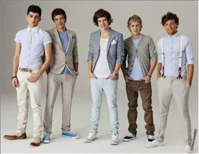 Quels sont leurs genres musicaux ?