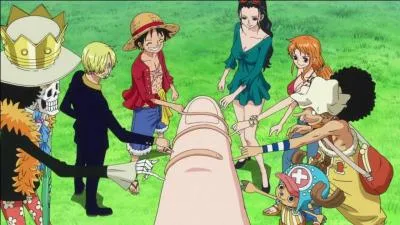 À qui est le grand doigt que touche les Mugiwaras ?  