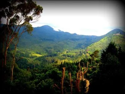 De quel pays, Bolivar fut-il le "libertador" ?