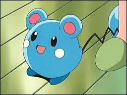 Pour avoir un uf qui à l'éclosion soit un Azurill, il faut absolument que l'un des parents ou les 2 soi(en)t ... ou ... . ou ... . (3 réponses)