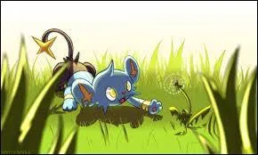 Pour avoir un uf qui à l'éclosion soit un Lixy, il faut absolument que l'un des parents ou les 2 soi(en)t ... ou ... . ou ... . (3 réponses)