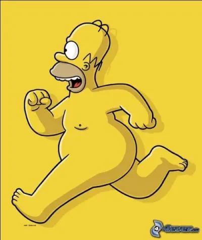 Quel métier n'a jamais été pratiqué par Homer ?