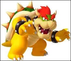Bowser est :
