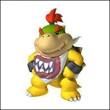 Bowser Jr. est :
