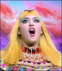 Katy Perry a chanté :