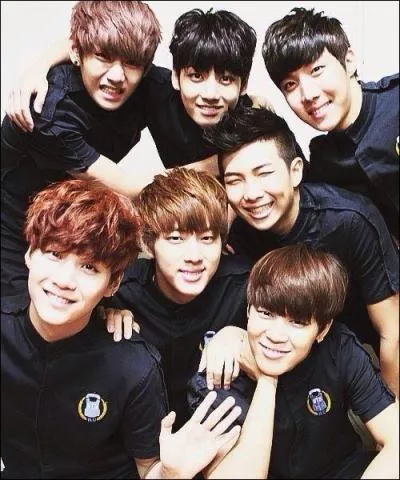 Qu'ont fait les BTS pour présenter les nouvelles chansons de l'année 2014 ?