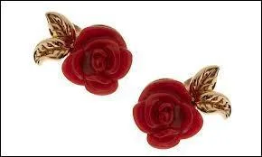 Que vous inspire cette image ?