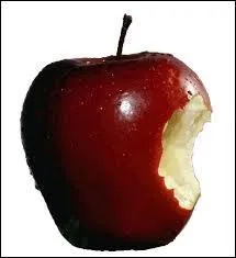 Que vous inspire cette image ?