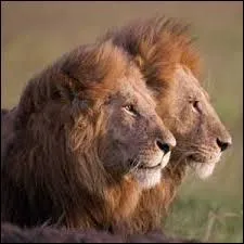 Quel est le nom d'un des documentaires de Disney ?