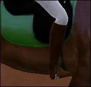 Pour que mon cheval déplace ses hanches avec ma jambe reculée...