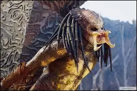 C'est un film d'action américain, sorti en 1987, réalisé par John McTiernan. De quel film est extraite cette scène ?