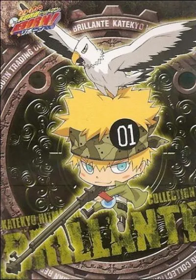 Qui est cet arcobaleno ?