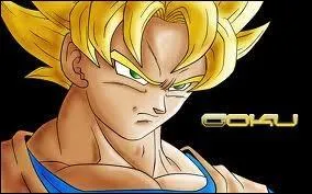 Qui est le rival de Goku ?