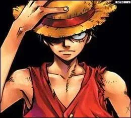 Qui a inspiré Luffy pour être pirate ?