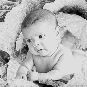 "Faire chou blanc" signifie :