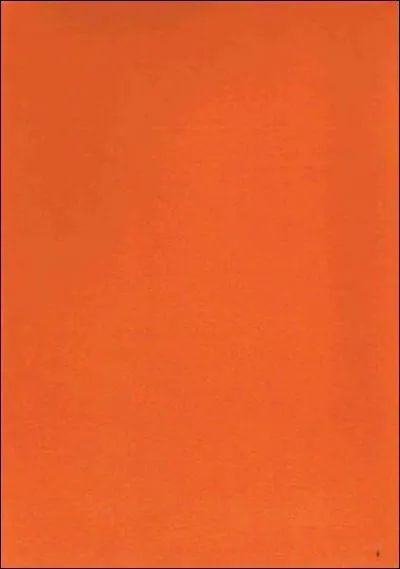 C'est de quelle couleur ?