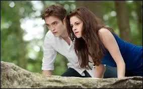 Un soir, Bella va à Port Angeles avec qui ?