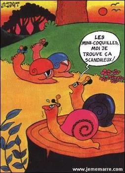 Quel humoriste a dit : Avant le string, il fallait écarter le slip pour voir les fesses, maintenant, pour voir le slip, il faut écarter les fesses !