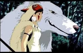 Quelles sont les armes de San ?