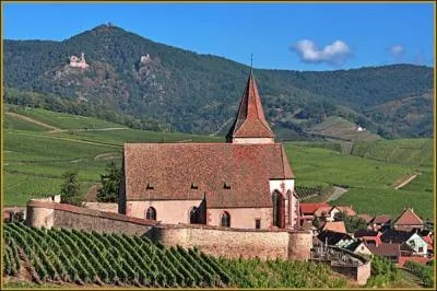 Quel est ce magnifique village du Haut-Rhin particulièrement fleuri, situé sur la route des vins d'Alsace où vous pourrez photographier la Fontaine Sainte-Hune avec son lavoir ainsi que la maison Schickhart ?