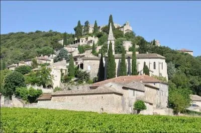 A quelle foire aurez-vous le plaisir d'assister vers le 15 août si vous passez par le pittoresque village de La Roque-sur-Cèze dans le Gard où vous verrez le pont Charles Martel ?