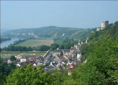 Dans quel département irez-vous pour admirer le pittoresque village de la Roche-Guyon, situé dans un méandre de la Seine ?