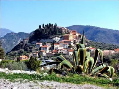 A quelle fête pourrez-vous assister à Coaraze, joli village des Alpes-Maritimes situé à deux pas du parc national du Mercantour ?