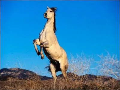 Quelle aide n'est pas naturelle ?