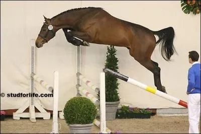 Pour sauter un obstacle, il faut être :