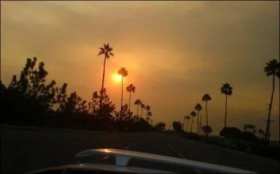 Le Sun Belt désigne :