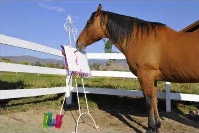 Quel est l'art qui repr&eacute;sente le plus l'appaloosa ?