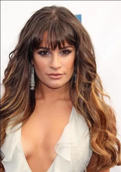 Lea Michele fait partie de la série :