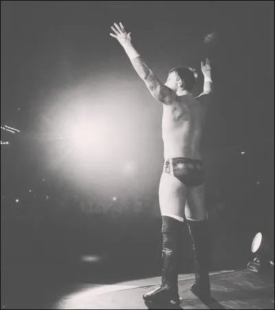 Quelles sont les prises de finitions de CM Punk ? (2 réponses possibles)