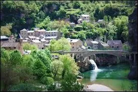 Bassurels est une commune Lozérienne située de région...