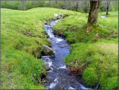 Complétez l'expression : les petits ruisseaux...