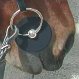 Dans le filet, les rondelles sont présentes dans tous les cas.