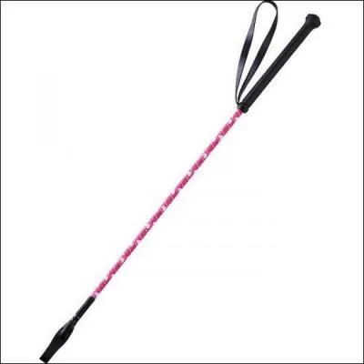 La cravache est-elle une aide artificielle ou naturelle ?