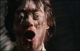 Sorti en 1981, c'est un film français réalisé par Jesús Franco. Où peut-on voir ce zombie ?