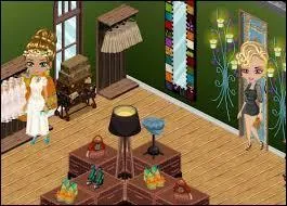 Quel jeu est un jeu de vente de vêtements ?
