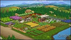 Quel est le jeu dans lequel on vend des produits ?