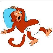 Quel est ce singe engraissé par le mode de vie de Homer ?