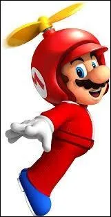 Comment se nomme cette transformation qui est jouable dans le jeu "New Super Mario Bros WII" ?