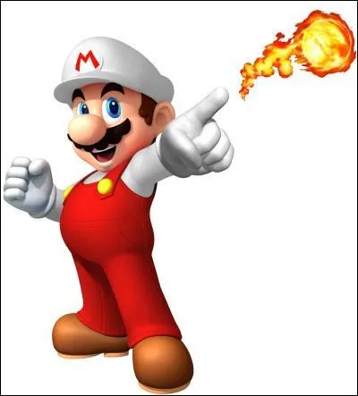 Comment se nomme cette transformation qui est jouable dans le jeu "New Super Mario Bros" ?