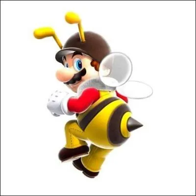 Comment se nomme cette transformation qui est jouable dans le jeu "Super Mario galaxy" ?