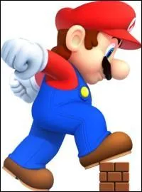 Comment se nomme cette transformation qui est jouable dans presque tous les jeux Mario ?