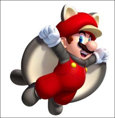 Comment se nomme cette transformation qui est jouable dans le jeu "New Super Mario Bros WII" ?