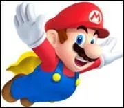 Comment se nomme cette transformation qui est jouable dans le jeu "Mario World" ?