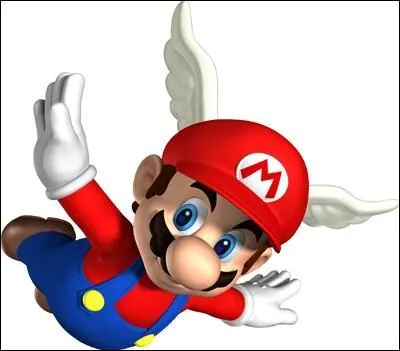 Comment se nomme cette transformation qui est jouable dans le jeu "Super Mario DS" ?