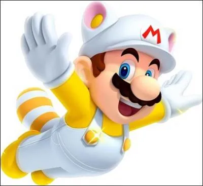 Comment se nomme cette transformation qui est jouable dans le jeu "Super Mario 3D Land" ?